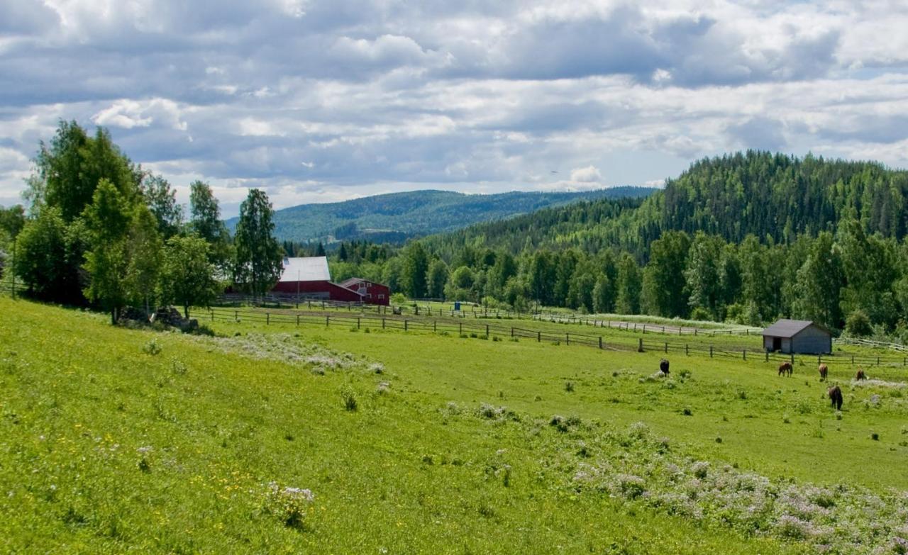 Paimentupa Βίλα Kolinkylä Δωμάτιο φωτογραφία